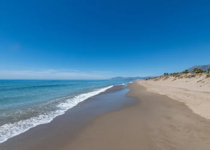 Riva * マルベーリャ